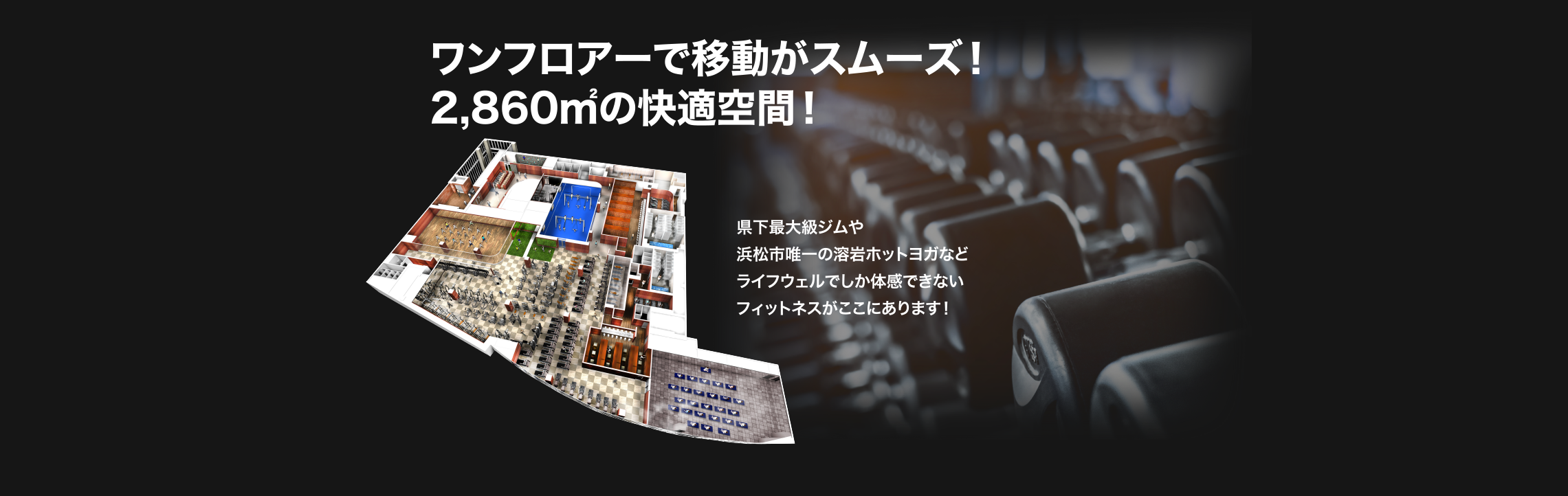 県下最大級ジムや浜松市唯一の溶岩ホットヨガなどライフウェルでしか体感できないフィットネスがここにあります!